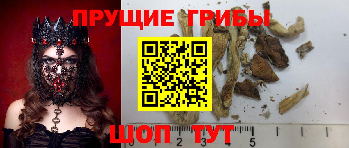 Выкса  Галлюциногенные грибы ЛСД  Вход с VPN  Псилоцибиновые грибы Magic Shrooms 